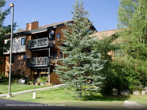 The Pines - photo 4