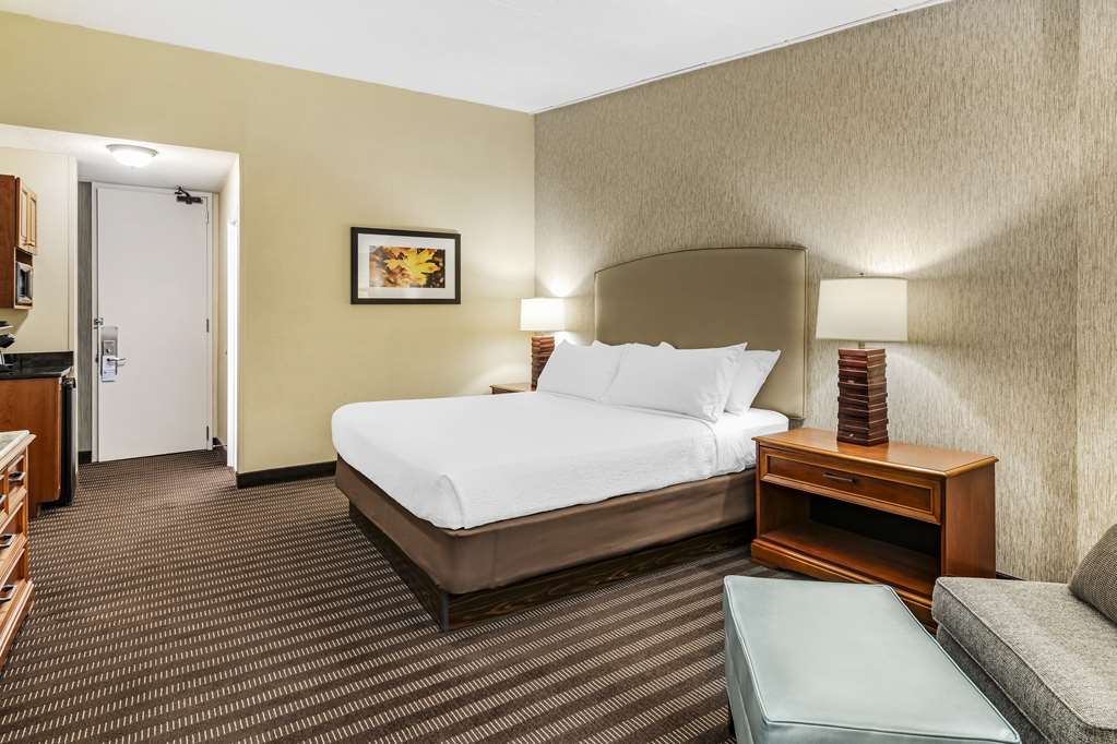 Best Western Springfield Hotel - photo 47