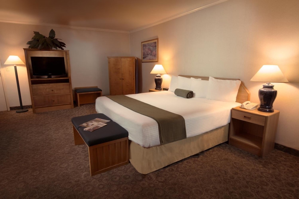 The Redwood Riverwalk A Boutique Hotel - photo 10