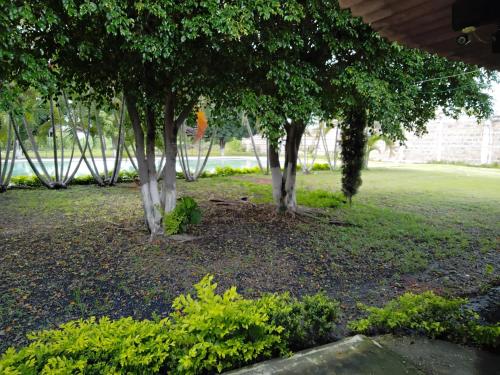 Hospedaje Familiar Op2 — Tlaquiltenango — photo 4