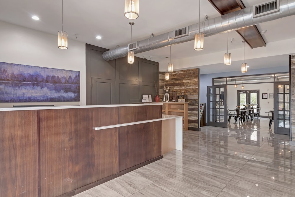 Iris Garden Inn - photo 4