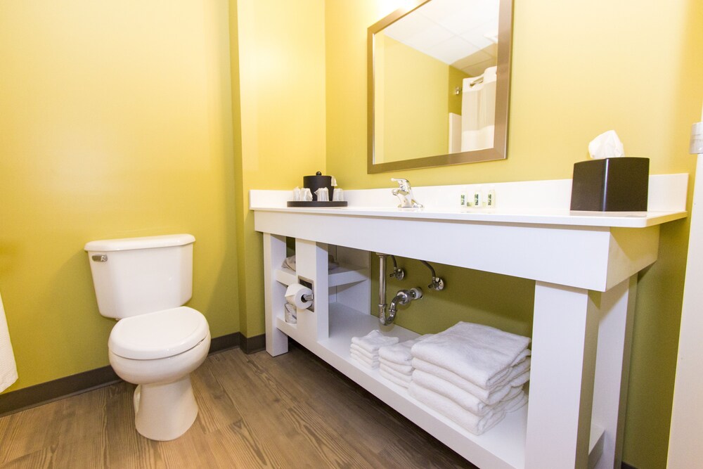 Cedar Point's Express Hotel - photo 19