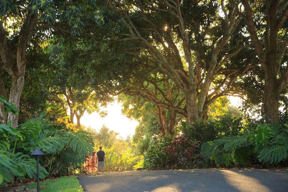 Holualoa Inn - photo 65