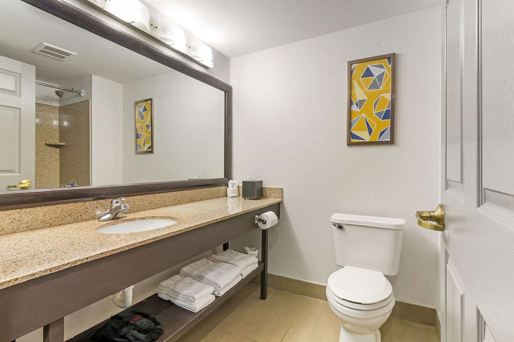 Comfort Inn Near Six Flags St. Louis - photo 26