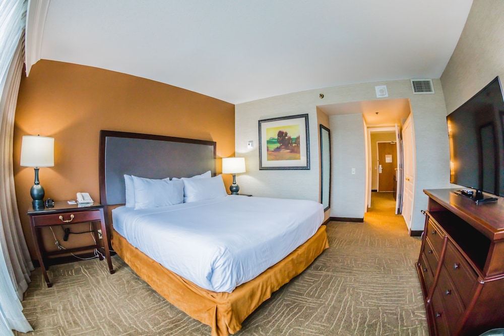 Embassy Suites by Hilton Lexington Green - photo 35