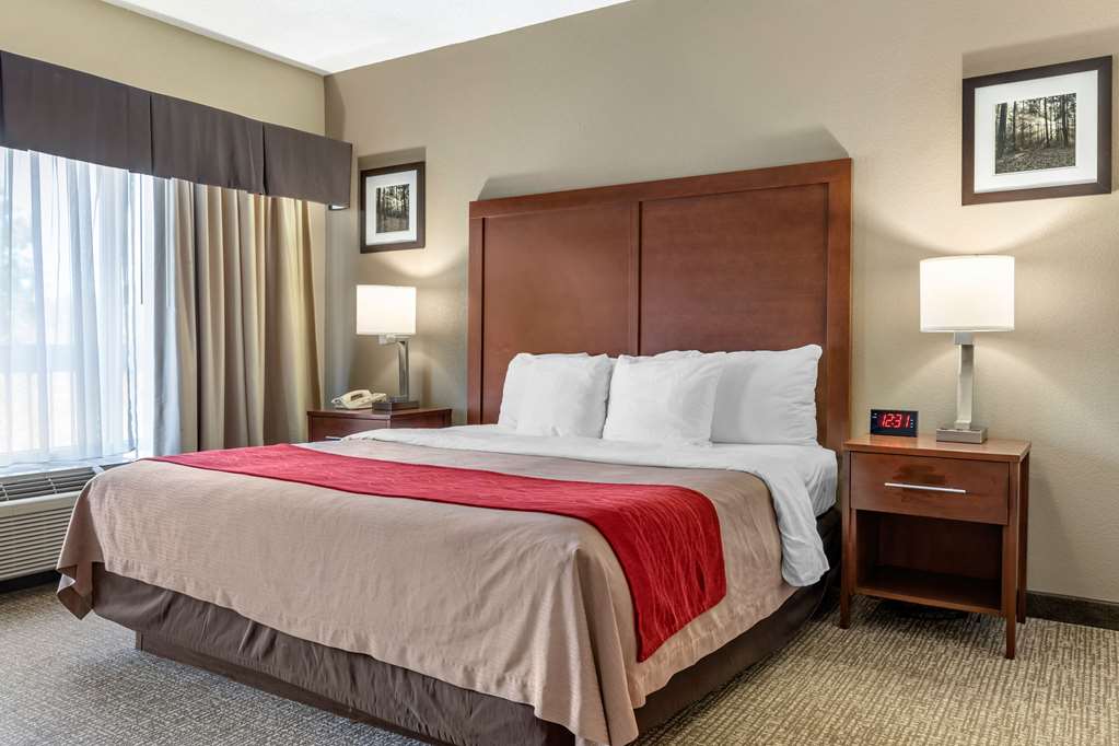 Comfort Inn Blythewood North Columbia - photo 13