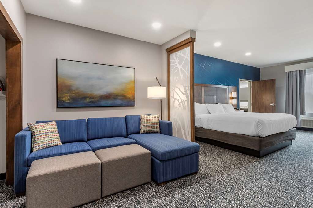 Comfort Suites Greenville Airport - photo 12