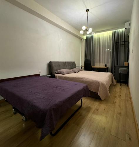 Luxury Apartment Aspindza 13