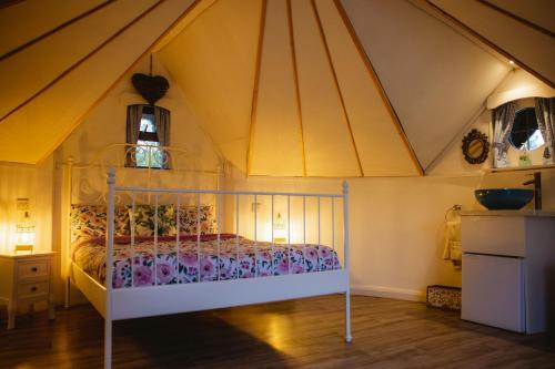 Mayo Glamping