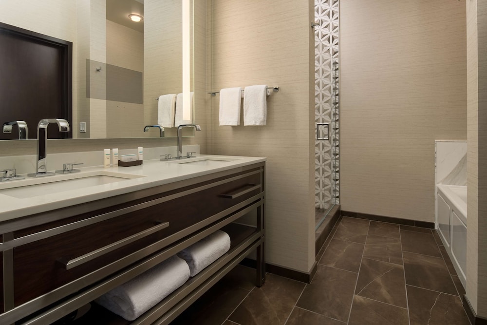 Embassy Suites by Hilton Seattle Downtown Pioneer Square - photo 84