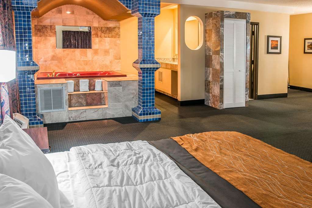 Country Inn & Suites By Radisson Battle Creek MI - photo 38