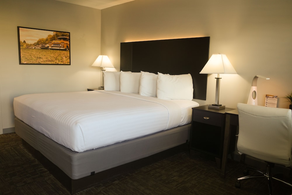 Americana Modern Hotel - photo 30