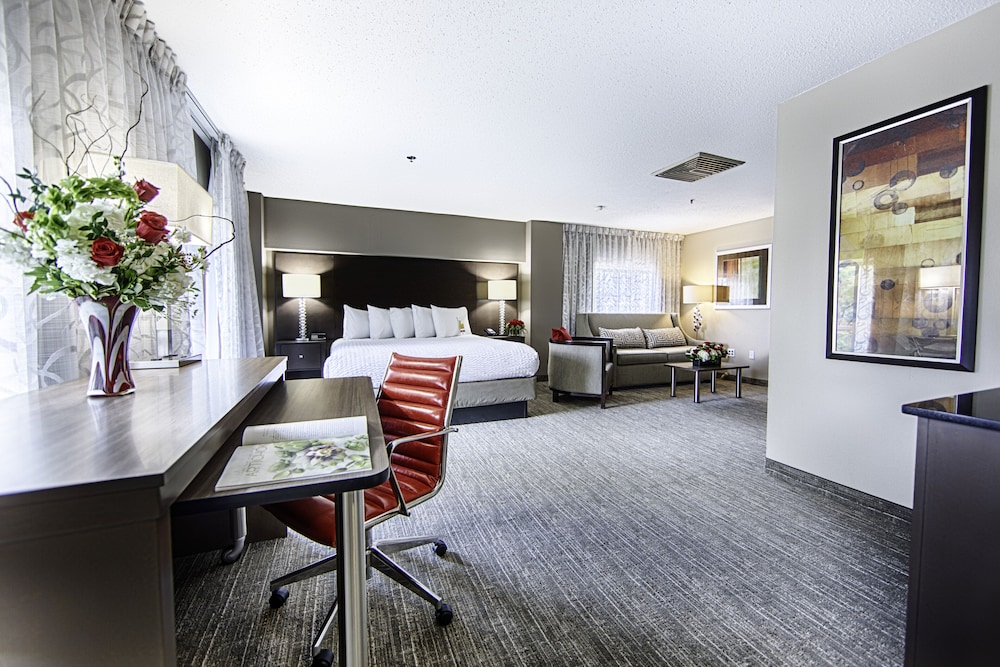 Hotel Capstone - photo 11