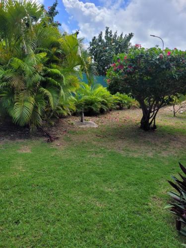 Gîte Hibiscus in Le Moule, Guadeloupe