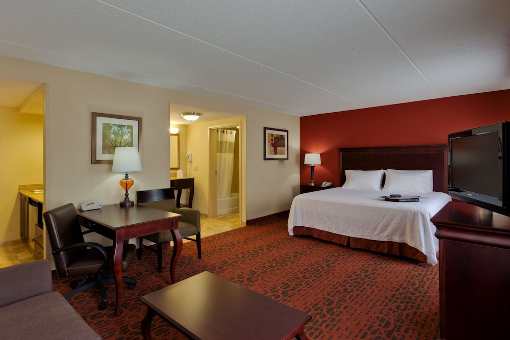 Hampton Inn Rochester Webster - photo 15