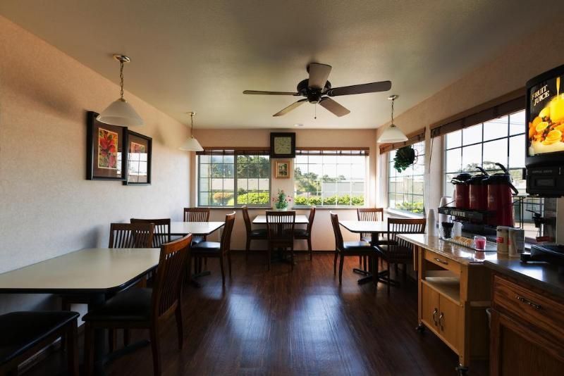 Paradise Inn and Suites - photo 11