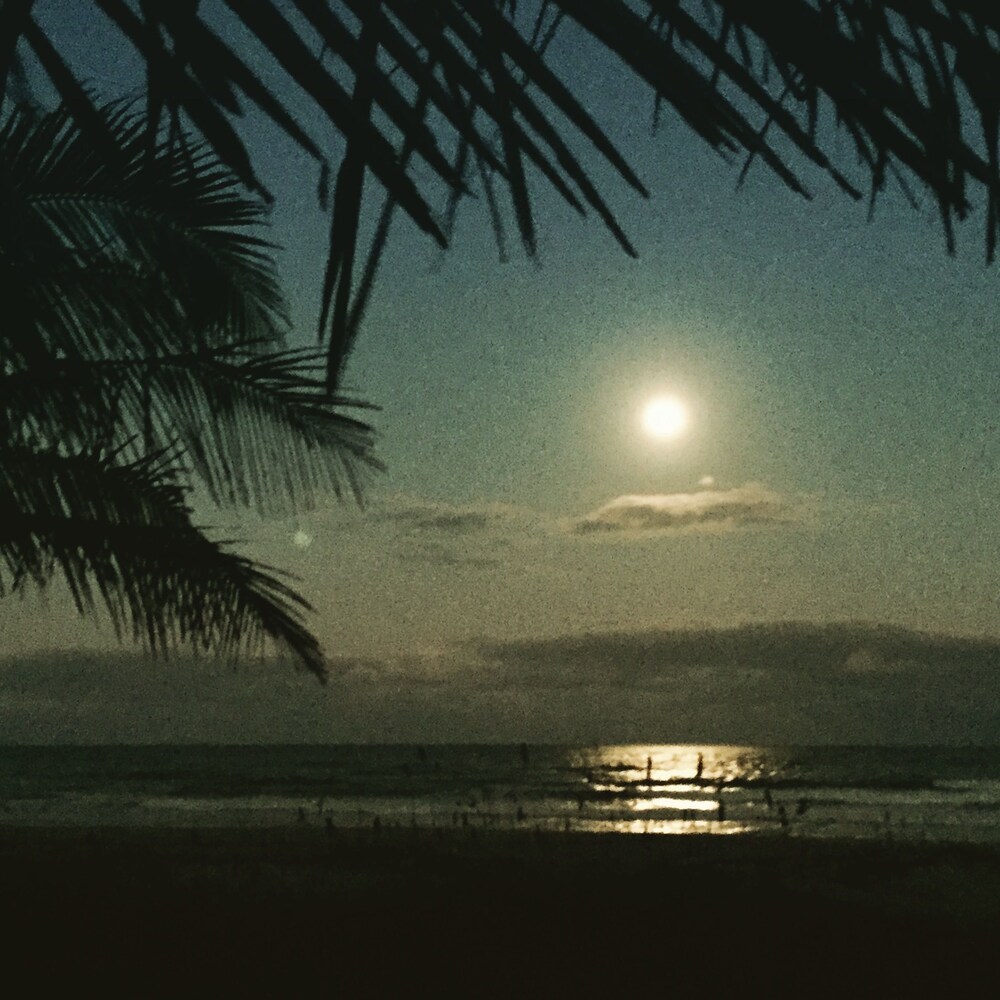 Surf Studio Beach Resort - photo 95