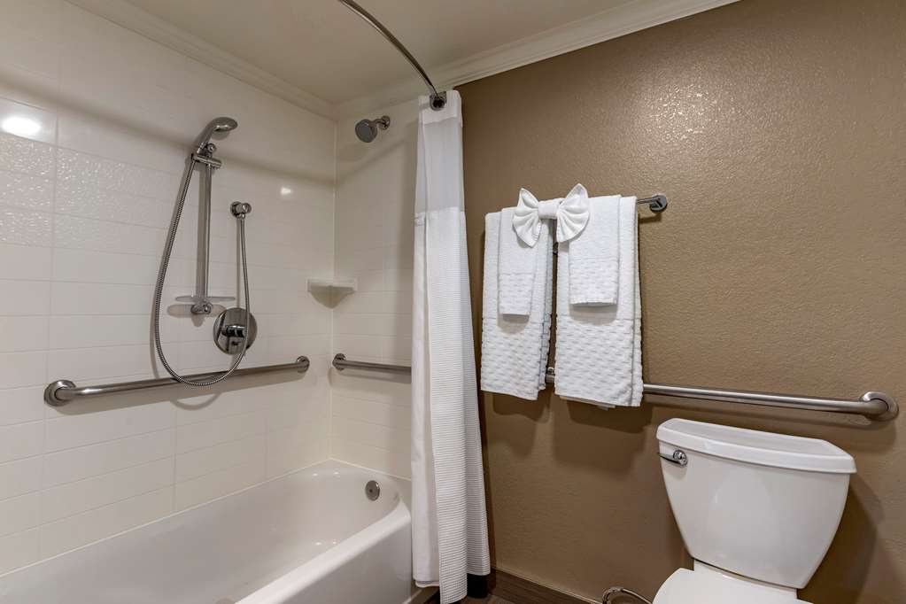 Best Western Silicon Valley Inn - photo 38