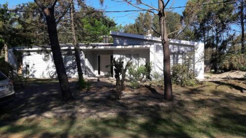 Sabiá in Unknown City, Uruguay