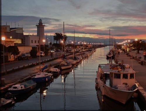 Antonella Luxury Suite — 4-Star Luxury Hotel in Viareggio, Italy