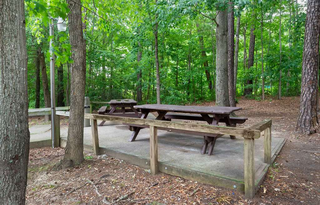 Extended Stay America Suites North Chesterfield Arboretum - photo 51