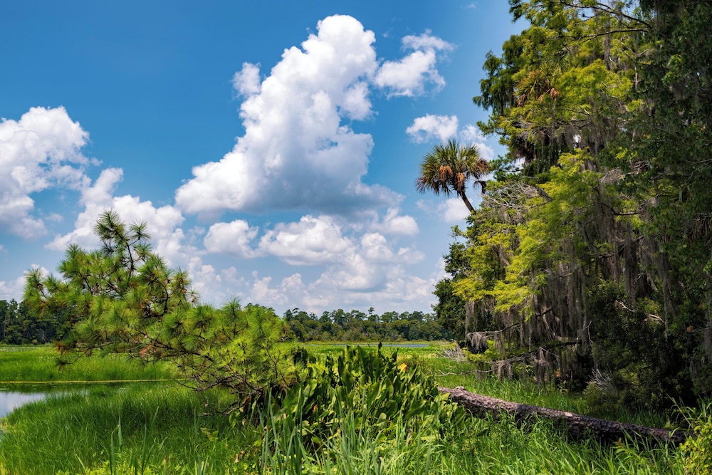Holiday Inn Express Hotel & Suites Silver Springs Ocala by IHG - photo 36