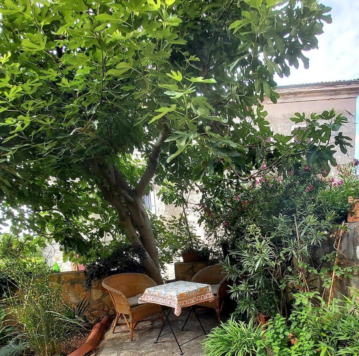 Unter Dem Feigenbaum Gartenstudio - last minute hotel in Unknown City