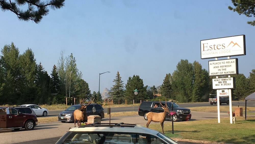 Estes Mountain Inn - photo 107