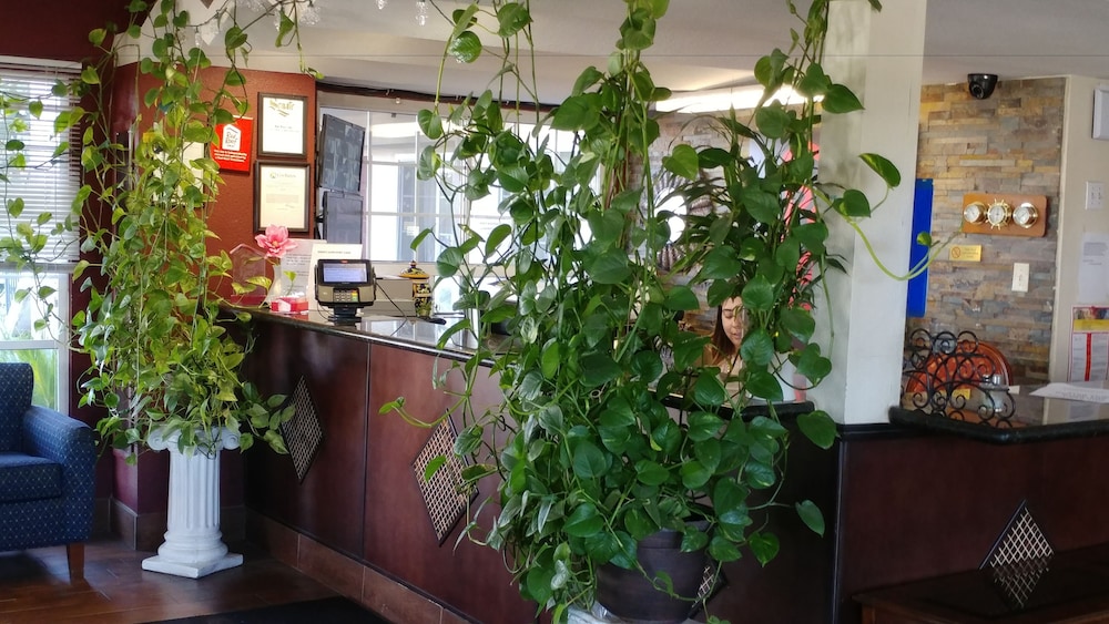 La Plaza Inn Los Banos - photo 3