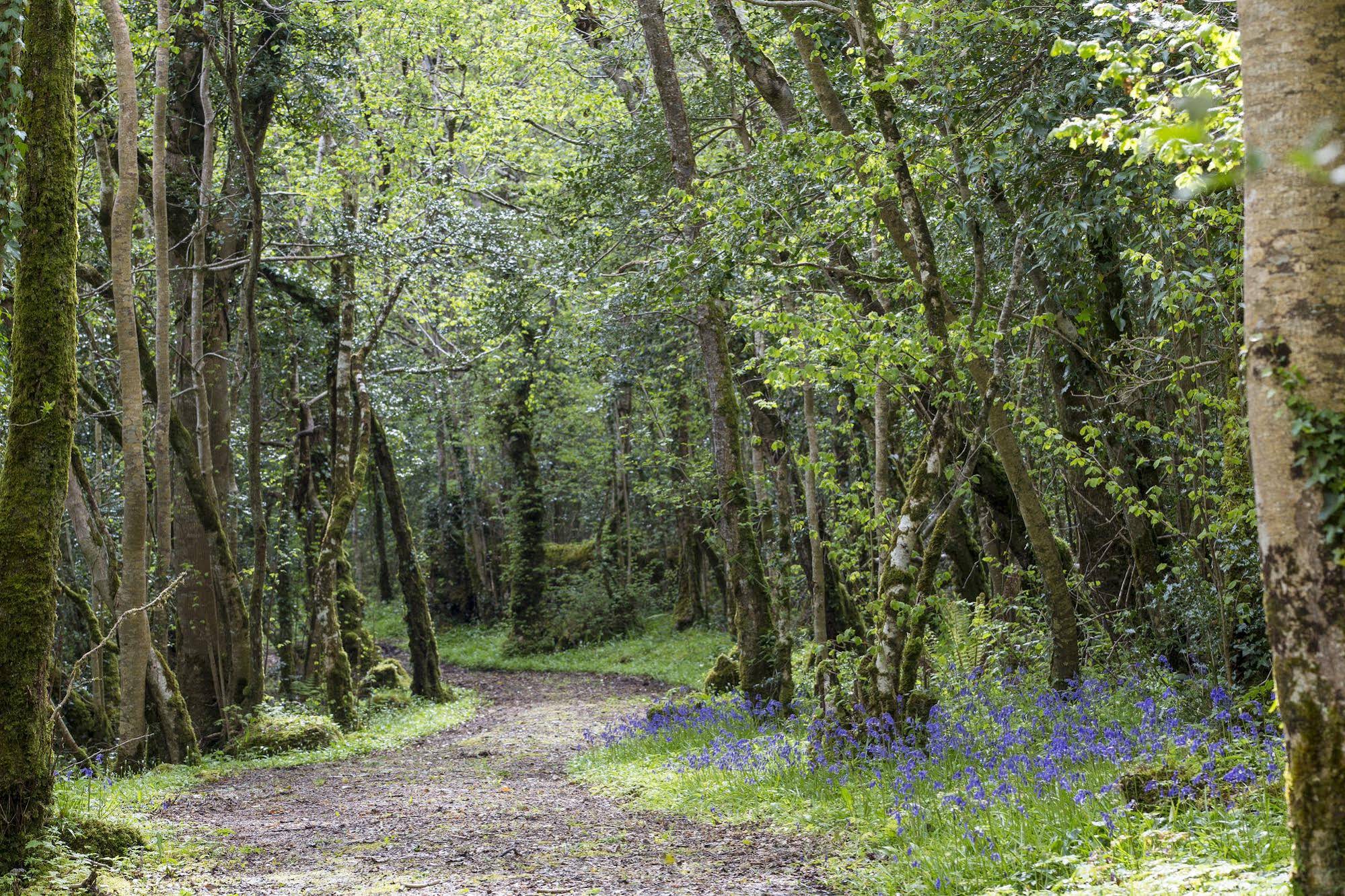 Fermanagh Suites - last minute hotel in Enniskillen