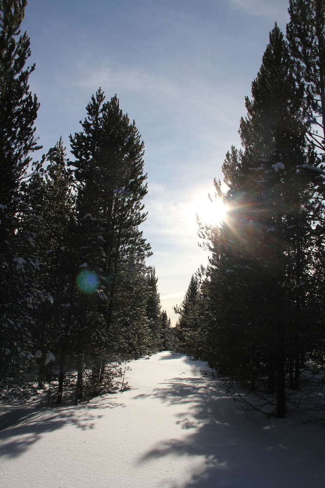 Sugar Loaf Lodge & Cabins - photo 48