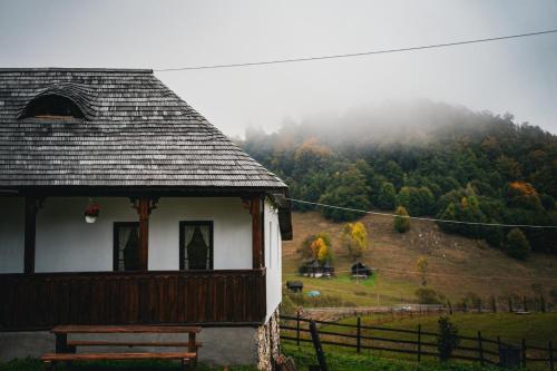 Casa Bunicilor Ciocanu — Rucar — photo 3
