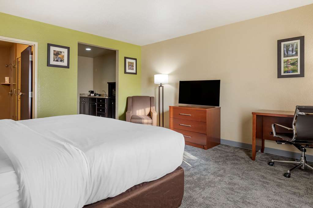 Comfort Inn Bentonville Crystal Bridges - photo 11
