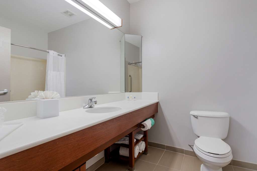 Comfort Suites La Porte Baytown - photo 7