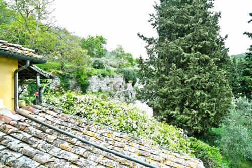 Le Tre Colombe — Bagno A Ripoli — photo 4