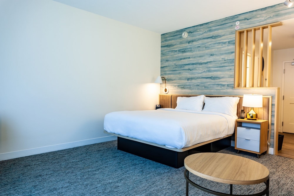 TownePlace Suites by Marriott Raleigh University Area - photo 29