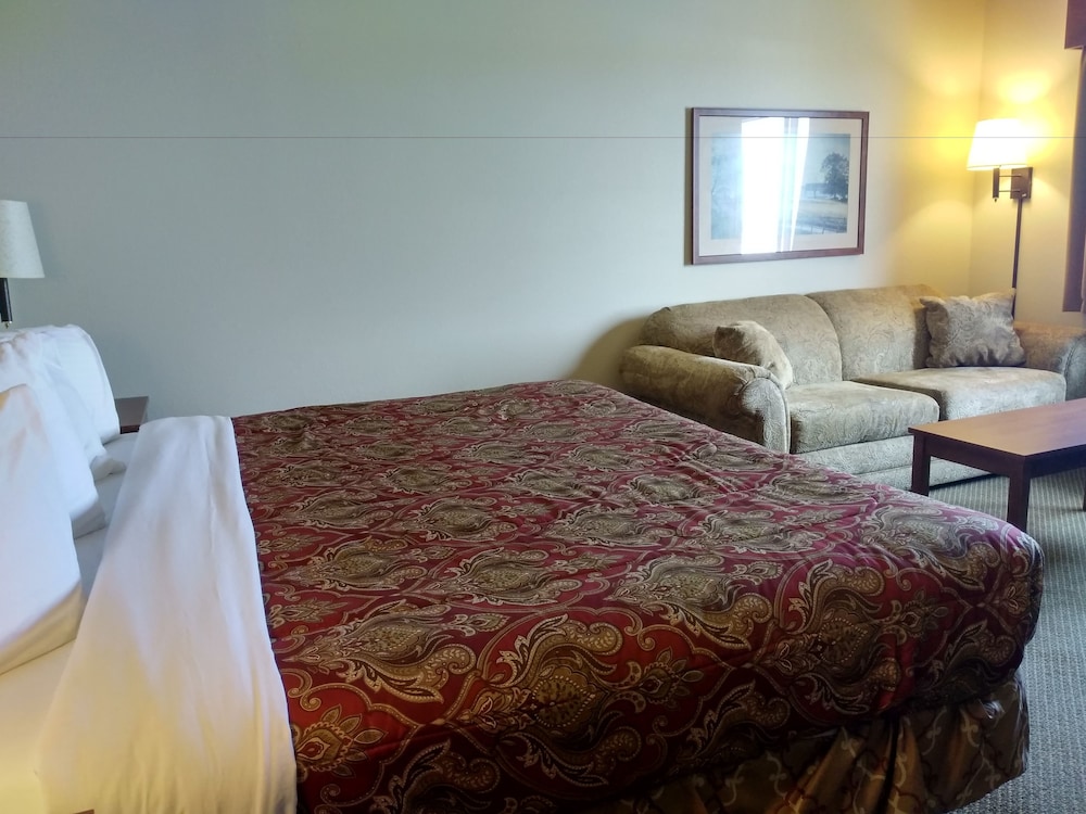 Madelia Hotel & Suites - photo 10