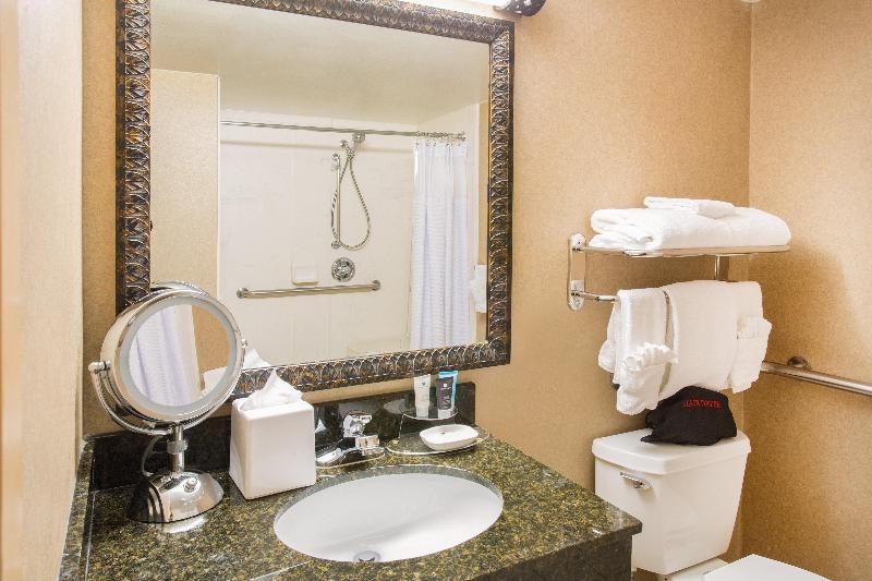 Crowne Plaza Denver Airport Convention Ctr an Ihg Hotel - photo 22