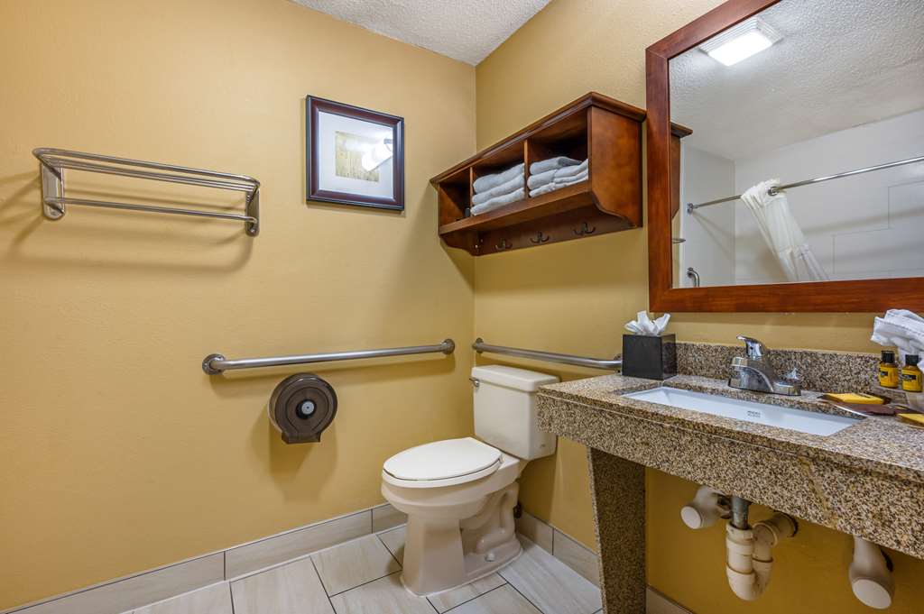 Best Western Plus Georgetown Corporate Center Hotel - photo 25