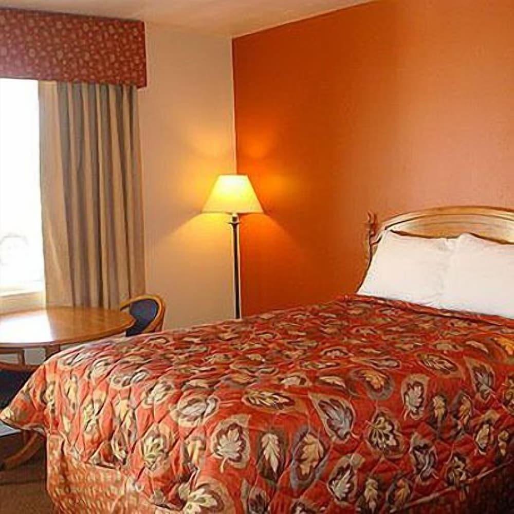 Starlite Motel Many - photo 5