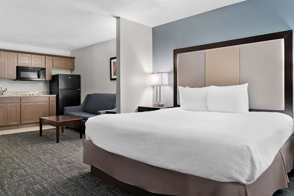 Best Western Plus Flint Airport Inn & Suites - photo 33