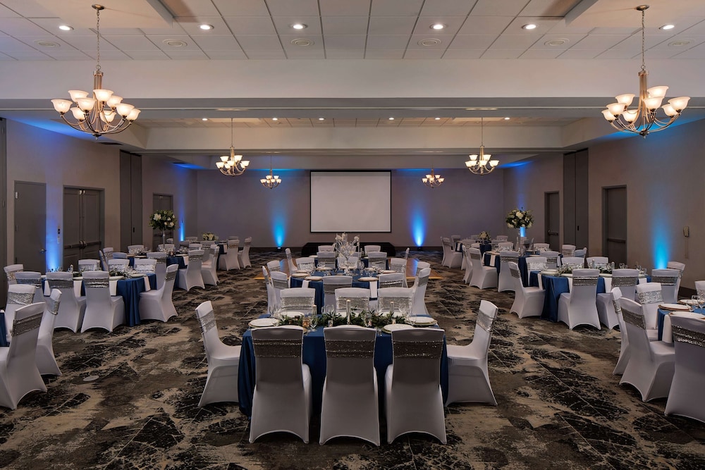 Hilton Garden Inn DFW Airport South - photo 34