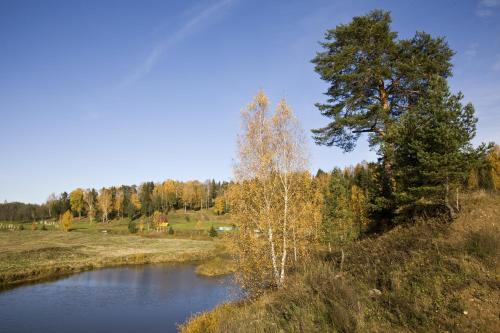 Demino Hotel in Rybinsk, Russia