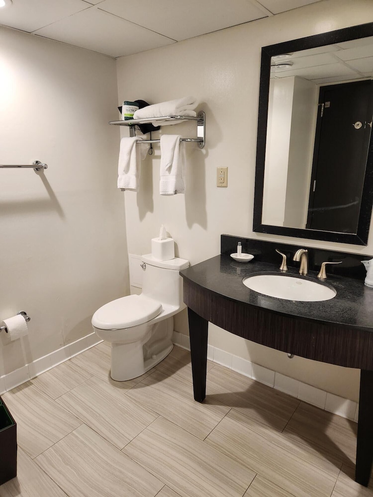 M Hotel Buffalo - photo 18