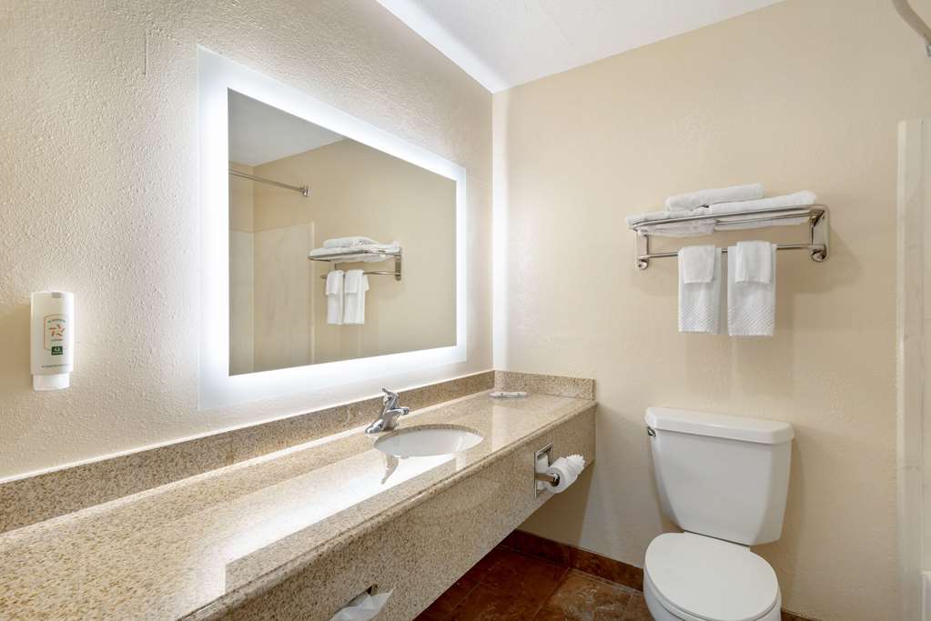 Quality Inn Valley West Point - photo 19