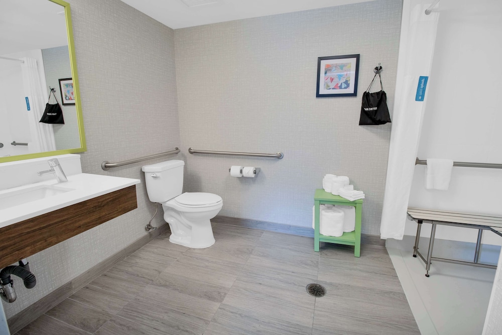 Hampton Inn & Suites Sarasota Bradenton Airport FL - photo 74