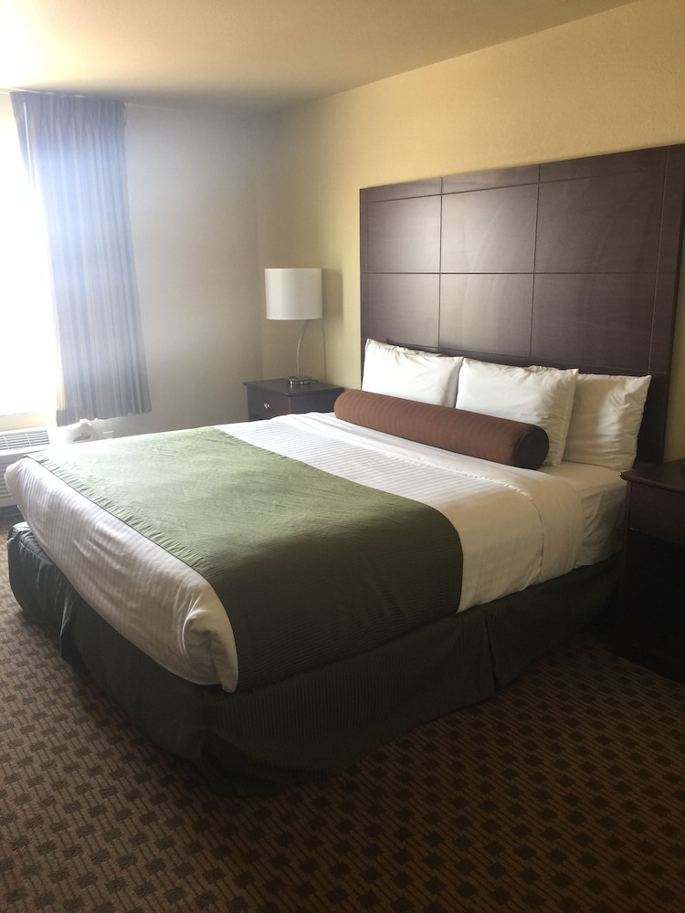 Cobblestone Hotel & Suites Pecos - photo 21