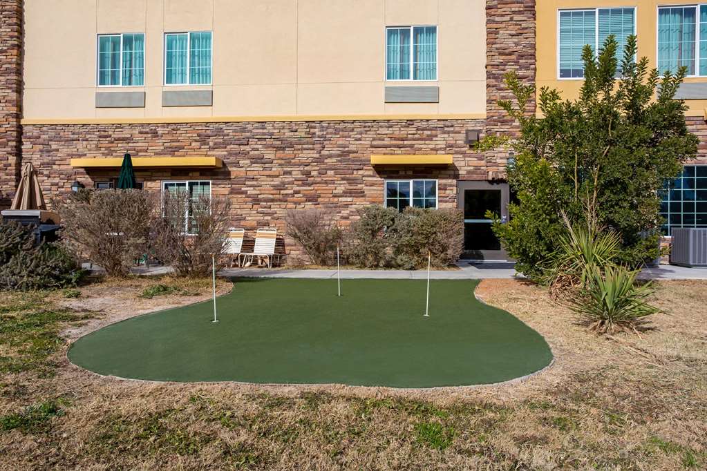 La Quinta Inn & Suites by Wyndham Pecos - photo 37
