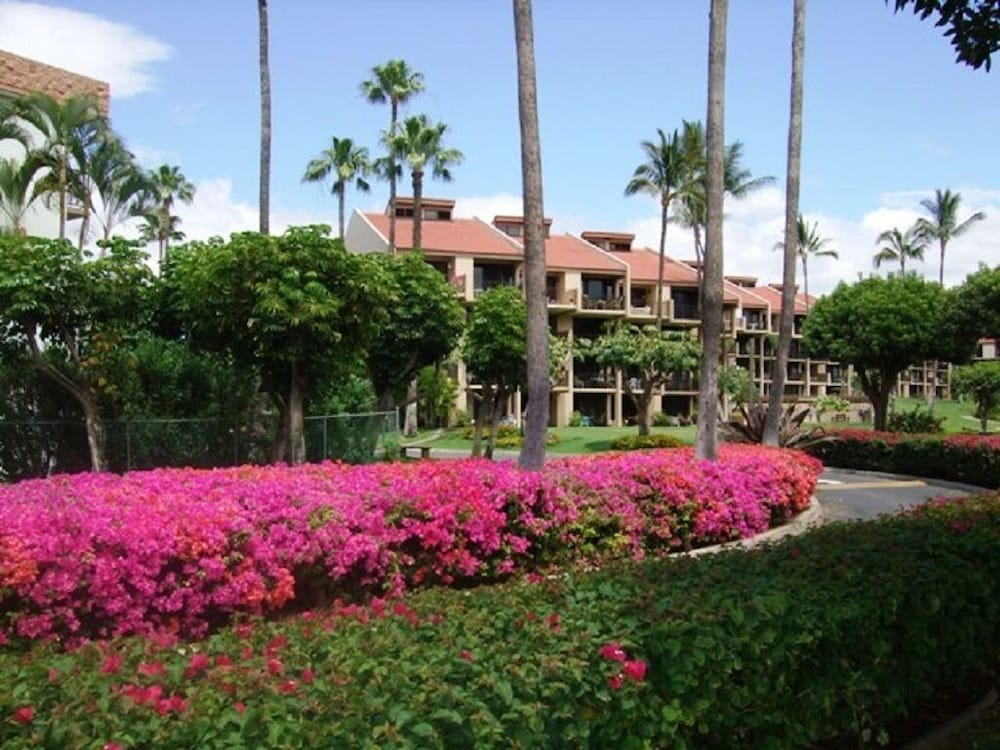 Kamaole Sands #8 110 - photo 16