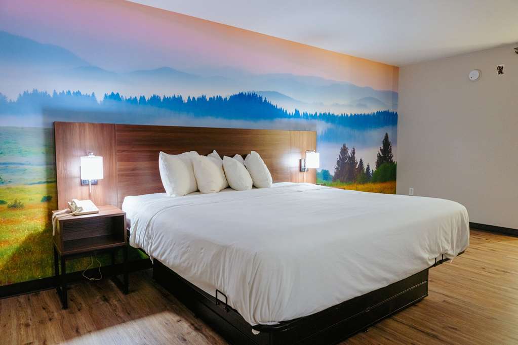 Clarion Pointe Dillard near Blue Ridge Mountains - photo 19